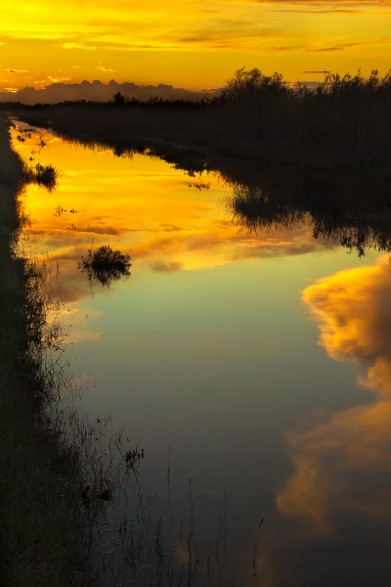 Camargue-Alchimie de la terre et des eaux-Vincent Recordier_0904.jpg