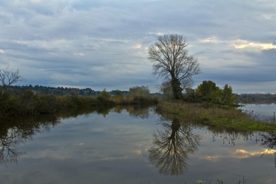 Camargue-Alchimie de la terre et des eaux-Vincent Recordier_1118.jpg