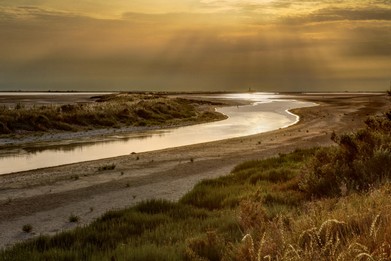 Camargue-Alchimie de la terre et des eaux-Vincent Recordier_2436.jpg