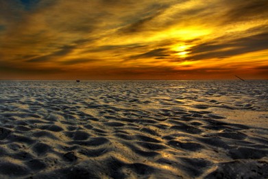 Camargue-Alchimie de la terre et des eaux-Vincent Recordier_8088.jpg