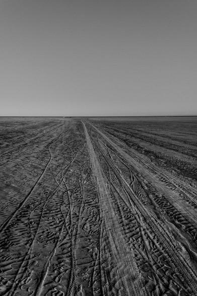 Camargue landscape-Vincent Recordier-Artwork_0188.jpg