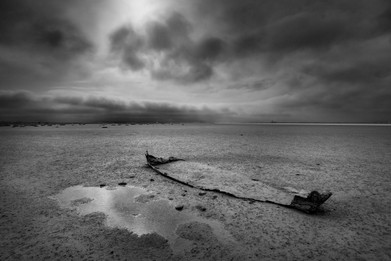 Camargue landscape-Vincent Recordier-Artwork_2425.jpg